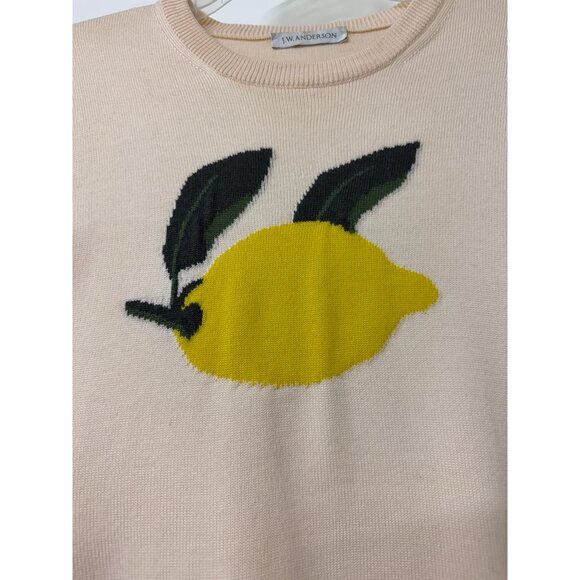 JW Anderson Lemon Fruit Graphic Intarsia Merino Wool Sweater Ivory Cream S - Picture 6 of 16